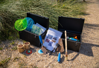 Kits d'exploration de la nature avec filets et outils à l'Eco Resort Grevelingenstrand, Pays-Bas.