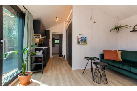 Licht, modern interieur van Tinyhouse «La Mouette» in Nederland met groene zetel en planten.