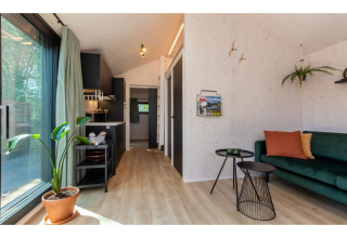 Licht, modern interieur van Tinyhouse «La Mouette» in Nederland met groene zetel en planten.