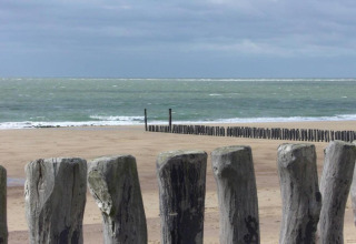Zicht op strand en zee vanaf Tinyhouse «La Mouette» met houten palen, gelegen in Nederland.