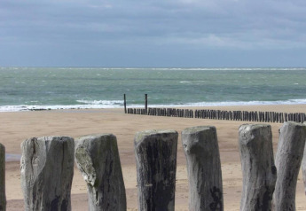Vue depuis Tinyhouse «La Mouette» aux Pays-Bas sur plage, mer et poteaux en bois au premier plan.
