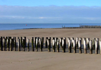Pieux en bois sur la plage devant la mer depuis Tinyhouse «La Mouette» aux Pays-Bas, sous ciel bleu.