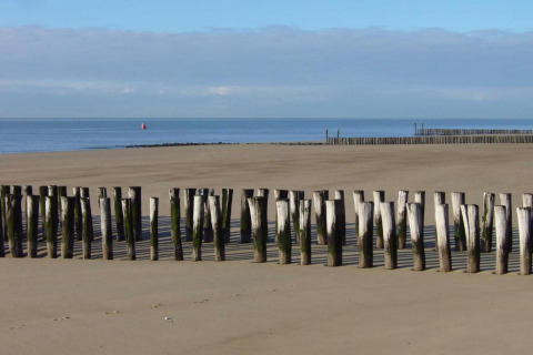 Houten paaltjes op het strand, zeezicht vanaf Tinyhouse «La Mouette» in Nederland bij blauwe hemel.