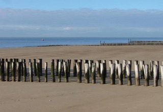 Houten paaltjes op het strand, zeezicht vanaf Tinyhouse «La Mouette» in Nederland bij blauwe hemel.
