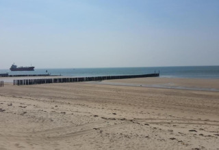 Zandstrand met houten paaltjes en een schip in de verte, gezien vanuit Tinyhouse La Mouette in Nederland.