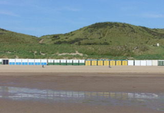 Kleurrijke strandcabines langs groene duinen bij Tinyhouse «La Mouette» aan zee in Nederland.