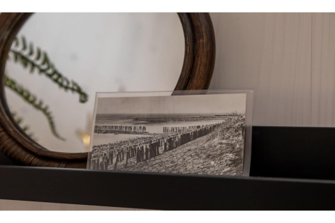 Zwart-witfoto op een plank naast een spiegel in Tinyhouse «La Mouette» in Nederland, met plant zichtbaar.