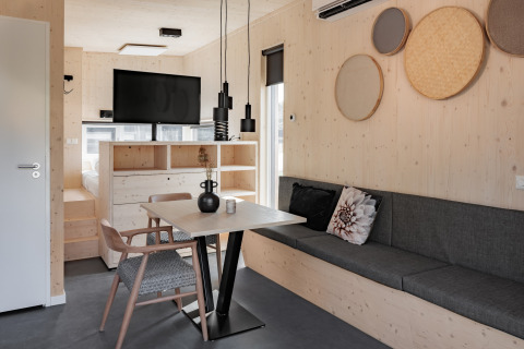 Modern tiny house in the Netherlands featuring wood decor, TV, cozy sofa, and round wall art decor.
