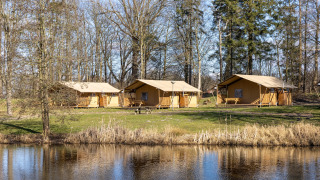 Safaritenten aan het water bij Hunzepark 15, omgeven door bomen in een rustige, groene omgeving.