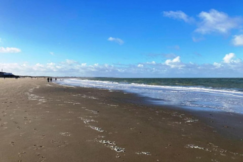 Beach and ocean view near tiny house ‘Noordzee’ at Résidence De Banjaard 22 in the Netherlands.