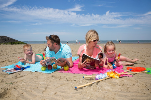 Een gezin ontspant op het strand met tijdschriften, fruit en ijsjes, omringd door speelgoed en strandspullen.