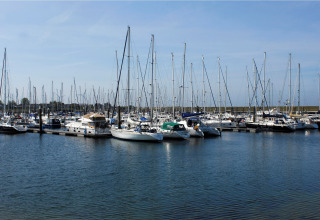 Boten aangemeerd in een jachthaven bij kalm water en blauwe lucht, vlakbij een lodge.