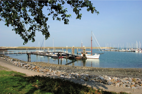 Zicht op een jachthaven bij een lodge met zeilboten aan de steiger en groene takken op de voorgrond.