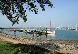 Zicht op een jachthaven bij een lodge met zeilboten aan de steiger en groene takken op de voorgrond.