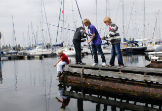 Vier kinderen vissen op een steiger bij Water Village 4 in Nederland, omringd door zeilboten in de haven.