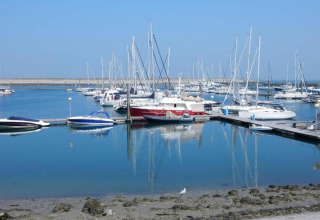 Boten aangemeerd in de jachthaven van Water Village 4, Nederland, onder een heldere lucht.