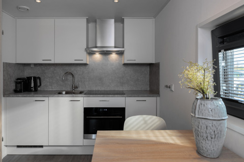Cucina moderna di mini casa al Beach Resort Nieuwvliet-Bad 15 nei Paesi Bassi con finestra e vaso.