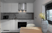 Cuisine moderne de tiny house au Beach Resort Nieuwvliet-Bad 15, aux Pays-Bas, avec fenêtre et plante.