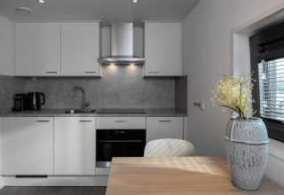 Cucina moderna di mini casa al Beach Resort Nieuwvliet-Bad 15 nei Paesi Bassi con finestra e vaso.