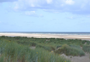 Vue sur plage et dunes depuis Beach Resort Nieuwvliet-Bad 15, ambiance paisible aux Pays-Bas.