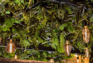 Plafond orné de plantes suspendues et d’ampoules modernes au Holiday Park Schaijk 3, Pays-Bas.