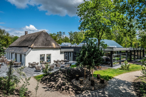 Foto di una tiny house con tetto di paglia, patio e moderna estensione, circondata dal verde.