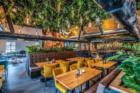 Modernes Restaurant mit vielen Pflanzen an der Decke, gelben Stühlen und Holztischen in warmer Atmosphäre.