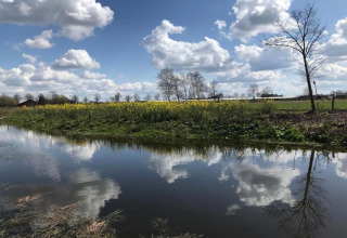 Paysage paisible avec de l'eau, des nuages, des arbres et une petite maison vue d'une tiny house.