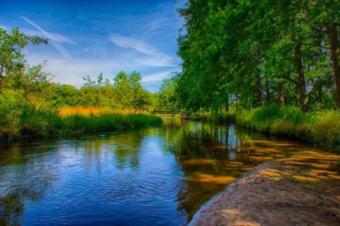 Rivière paisible entourée d’arbres verts et ciel bleu, prise depuis un tiny house près de l’eau.