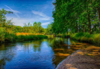 Ruhiger Bach im Grünen mit klarem Wasser, Bäumen und blauem Himmel, gesehen vom Tiny House aus.