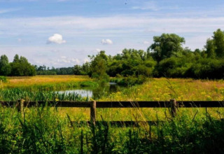 Blick von einem Tiny House auf eine grüne Wiese mit einem Teich, Bäumen und einem Holzzaun im Vordergrund.