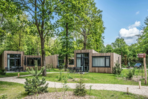 Tiny house moderne immerse nel verde al Holiday Park «Schaijk 2» nei Paesi Bassi in una giornata di sole.