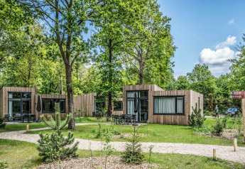 Tiny houses modernes entourées d'arbres verts au Holiday Park «Schaijk 2» aux Pays-Bas par temps ensoleillé.