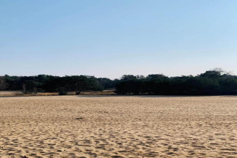 View from a tiny house shows a sandy landscape with green trees in the distance and a clear blue sky.