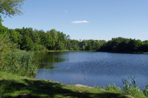 View of a calm lake surrounded by lush green trees, seen from the yard of a tiny house on a sunny day.