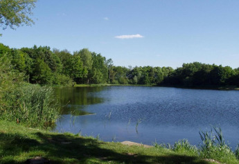 Vue sur un lac paisible entouré d’arbres verts, observée depuis le jardin d’une tiny house par temps ensoleillé.