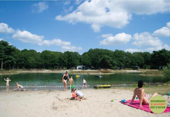 Des familles se détendent sur la plage d'un lac, près d'une tiny house, entourées d'arbres et de ciel bleu.