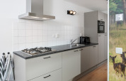Cuisine compacte et moderne dans une tiny house avec plaque gaz, four, évier et placards gris.