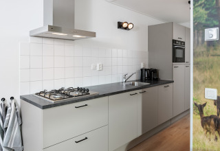 Moderne, kompakt køkken i et tiny house med gaskomfur, ovn, vask og stilrene grå skabe.