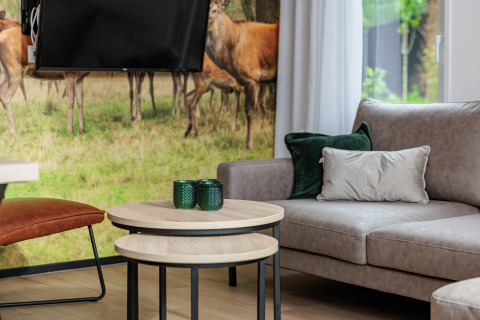 Modernes Wohnzimmer im Holiday Park «Schaijk 6» mit grauem Sofa, Holztischen und Hirsch-Wandbild.