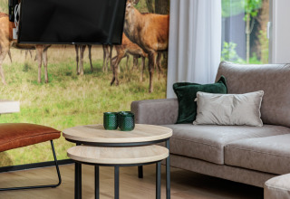 Modernes Wohnzimmer im Holiday Park «Schaijk 6» mit grauem Sofa, Holztischen und Hirsch-Wandbild.