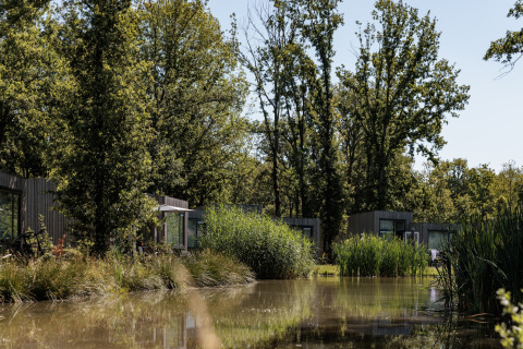 Små moderne hytter ved en dam omgivet af træer i ferielandsbyen Holiday Park Schaijk 4, Holland.