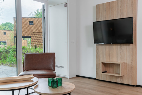 Soggiorno moderno in una tiny house al Holiday Park Schaijk 5, Paesi Bassi, con TV, poltrona e finestra.