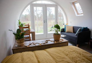 Lyst pod-interiør med gul seng, grønne planter, sofa og store buede vinduer i Nederlandene.