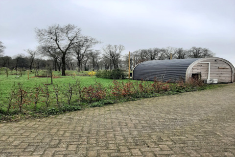 Et pod-hus kaldet 'De Ree en de Specht' på en grøn mark med træer i Nederlandene under en grå himmel.