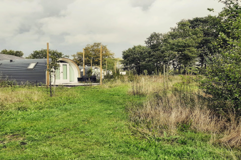 Små moderne hytter kaldet 'De Ree en de Specht' i naturlige omgivelser i Holland med grønne træer.