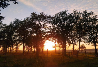 Solnedgang gennem træerne ved pod'et De Ree en de Specht i Nederlandene, fredelig naturscene.
