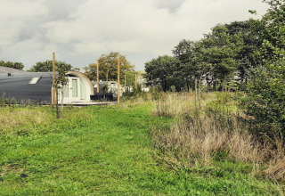 Grønne marker og moderne hytter i naturen ved De Ree en de Specht, et unikt pod i Holland.