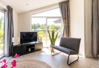 Stue i et moderne chalet med fladskærms-TV, grå sofa, planter og store vinduer ved Holiday Park Molenvelden 8.