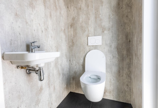 Bagno moderno con wc sospeso e piccolo lavandino presso Holiday Park Molenvelden 8 nei Paesi Bassi.